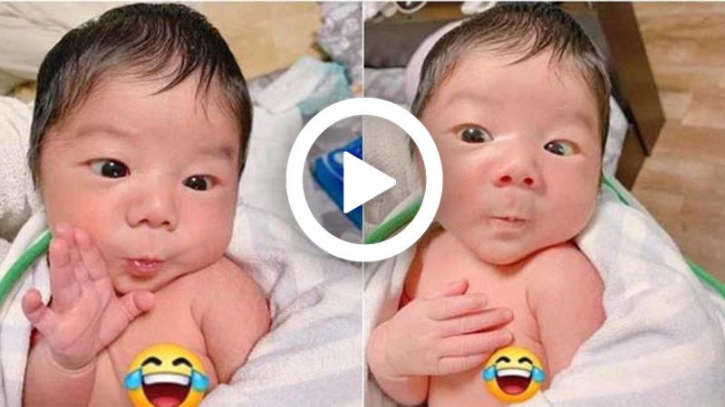 The Humor of a Newborn Baby is Welcomed by Netizens.
